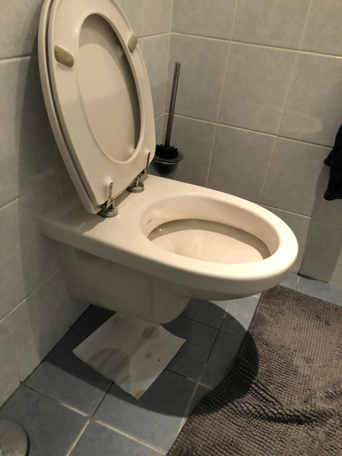 hangtoilet Nesselande